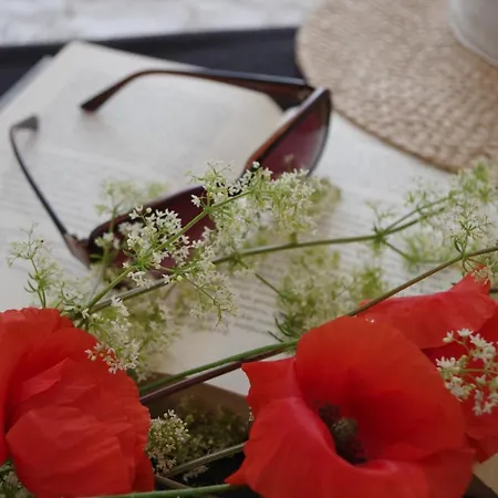 Apartdebki * Odargowo