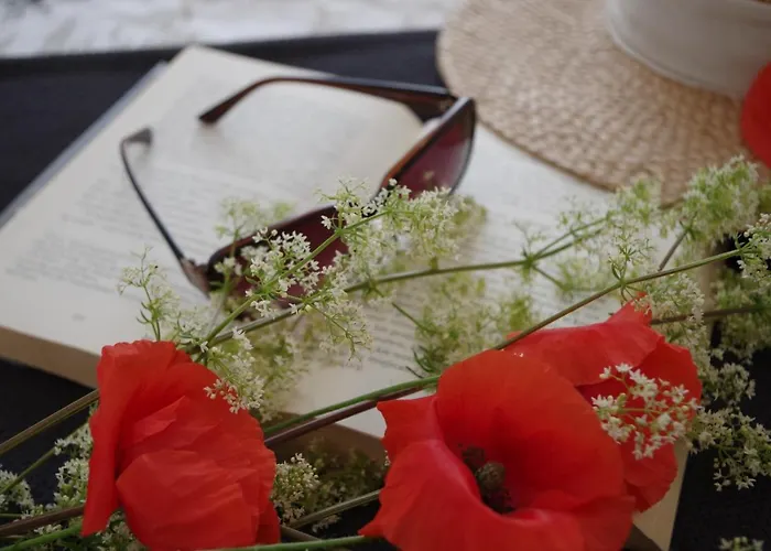 Apartdebki * Odargowo